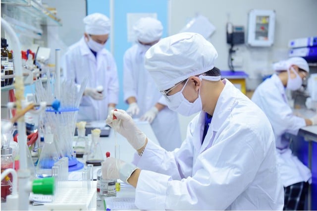 ベトナムにおける基礎科学開発のブレークスルーを達成するには、何が必要か? - 画像1。 Làm gì để khoa học cơ bản ở Việt Nam phát triển đột phá?- Ảnh 1.