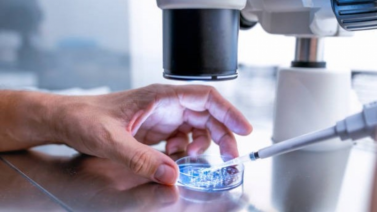 cluster (priority): Vietnam.vn Un test génétique qui redéfinit les protocoles de traitement