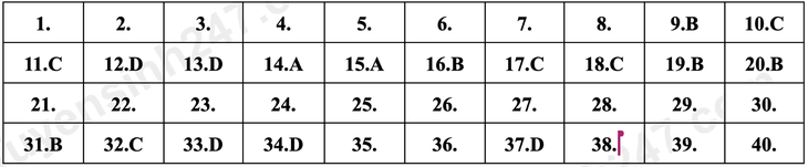lớp 10 - Ảnh 5.