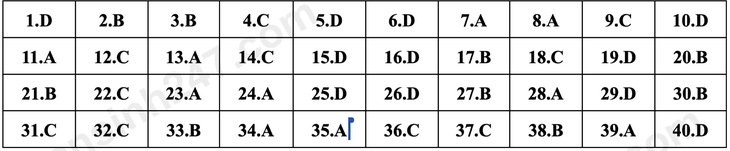 lớp 10 - Ảnh 7.