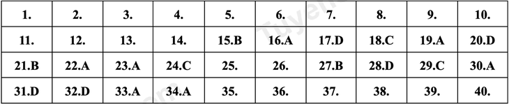 lớp 10 - Ảnh 8.