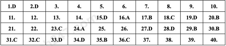 lớp 10 - Ảnh 10.