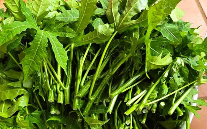 Cây rau mì chính ăn như thế nào?