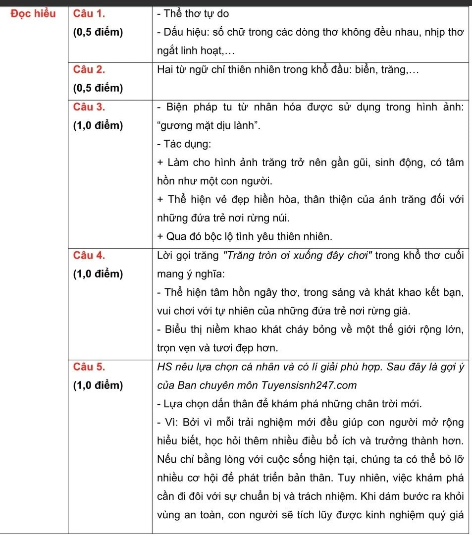Hướng dẫn giải đề môn Ngữ văn thi lớp 10 tại Hà Nội