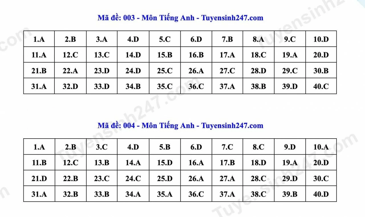 Thi lớp 10 Hà Nội: Gợi ý đáp án môn tiếng Anh