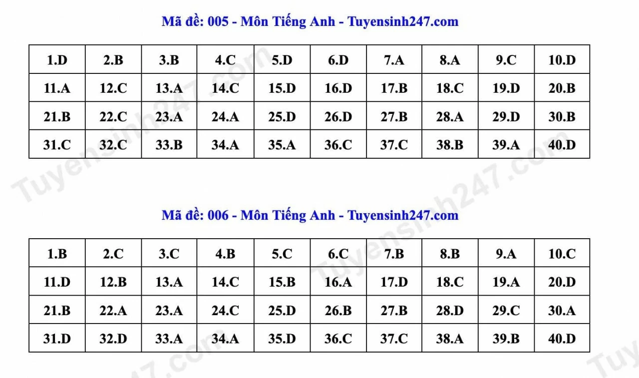 Thi lớp 10 Hà Nội: Gợi ý đáp án môn tiếng Anh