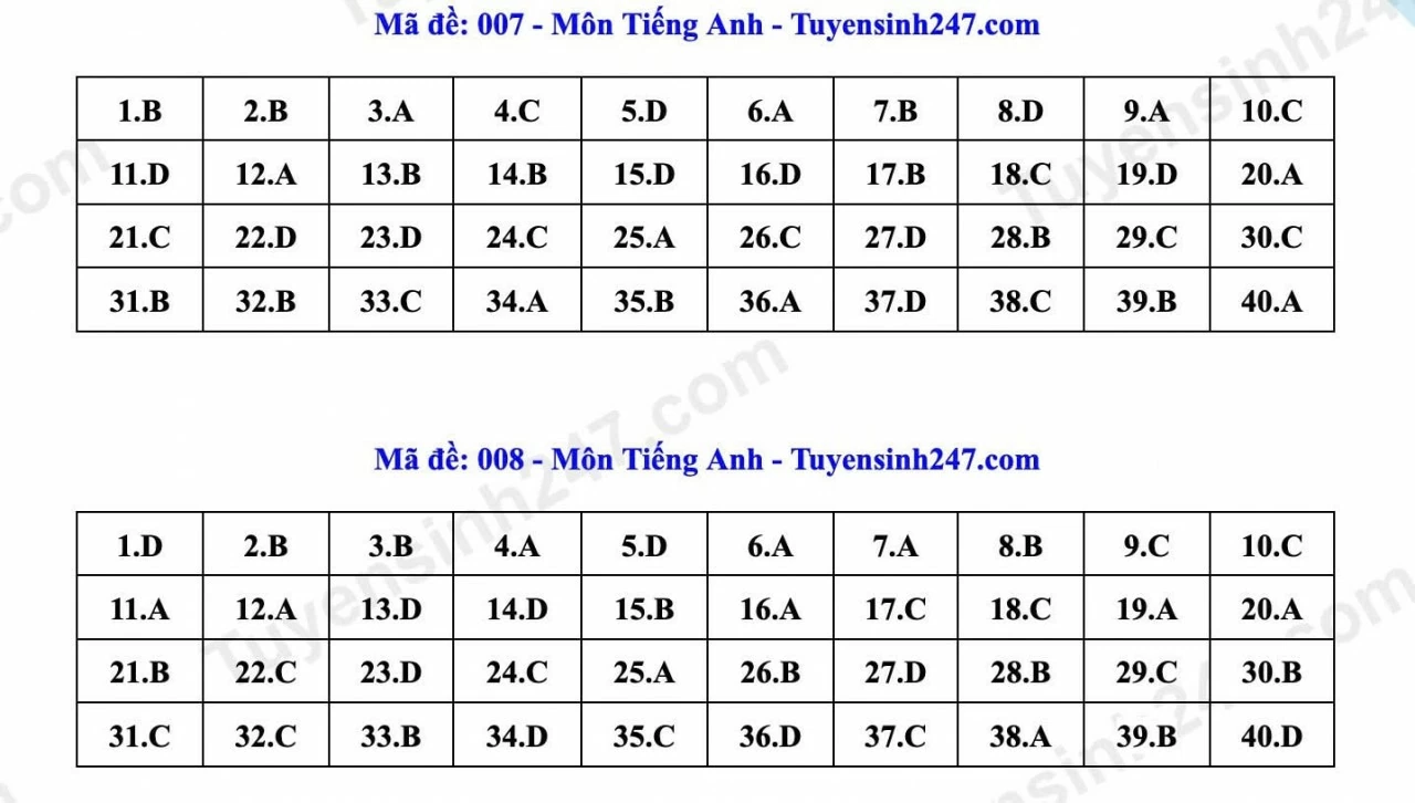 Thi lớp 10 Hà Nội: Gợi ý đáp án môn tiếng Anh