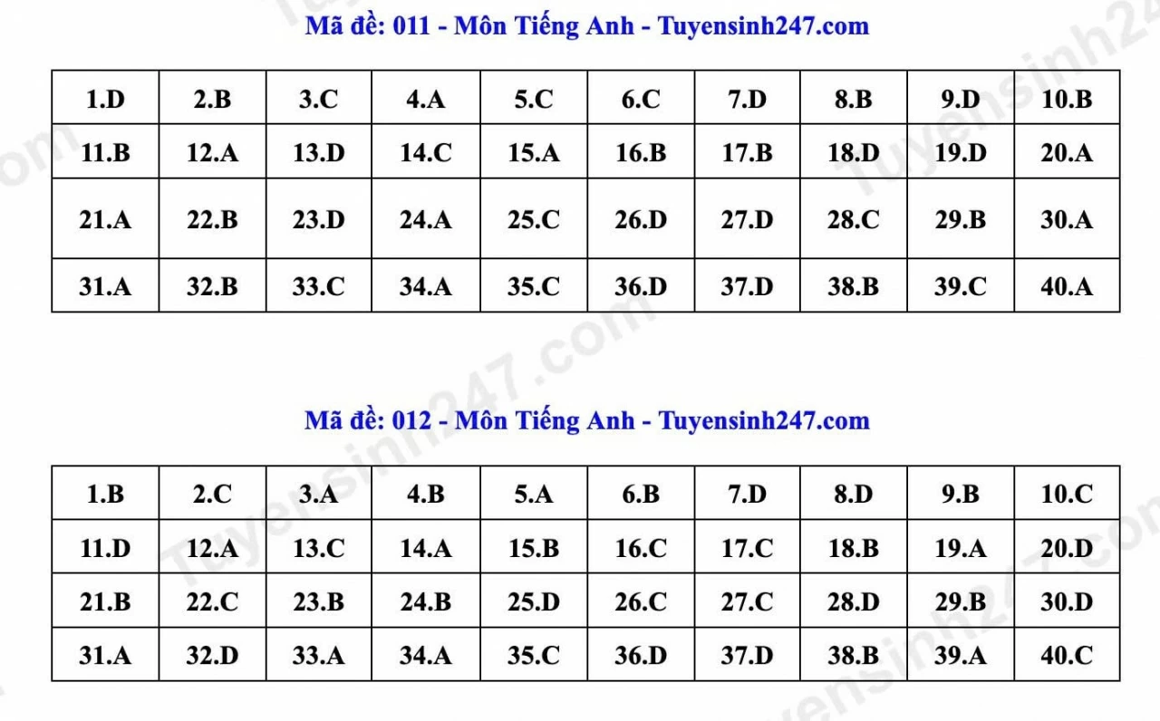 Thi lớp 10 Hà Nội: Gợi ý đáp án môn tiếng Anh
