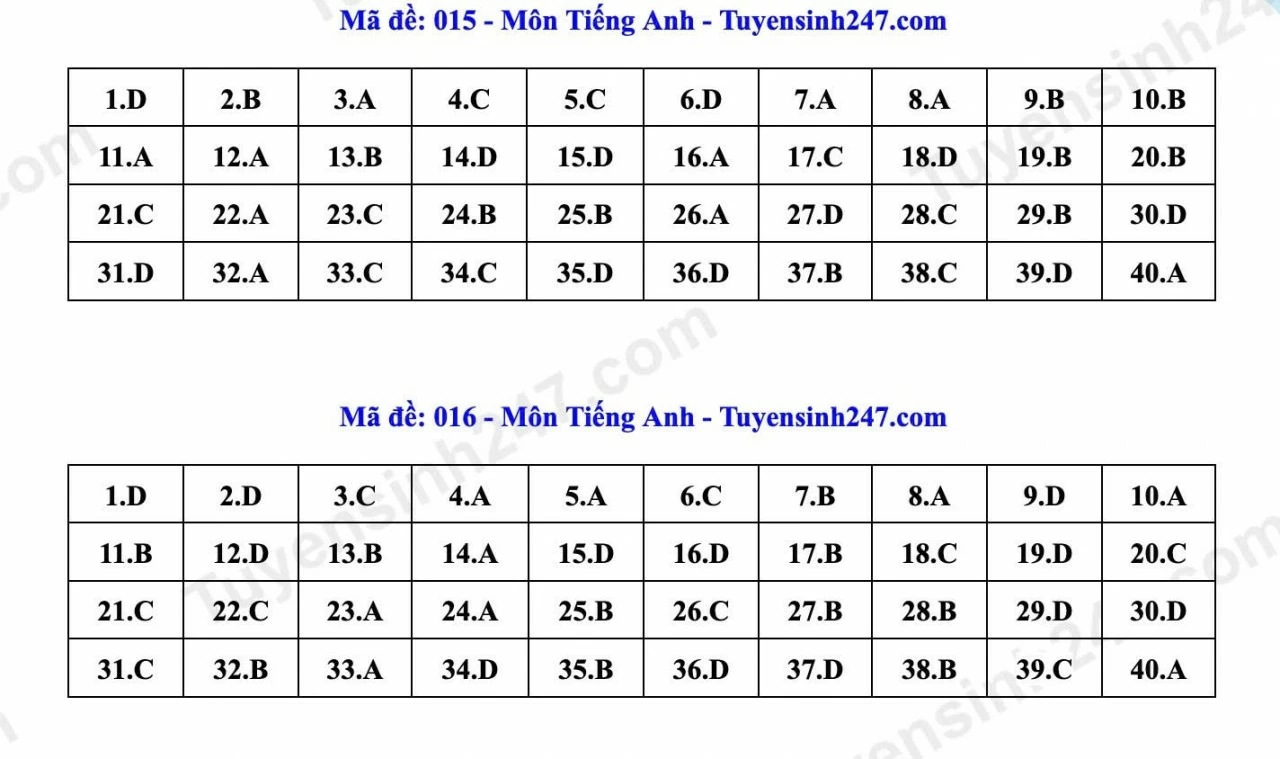 Thi lớp 10 Hà Nội: Gợi ý đáp án môn tiếng Anh
