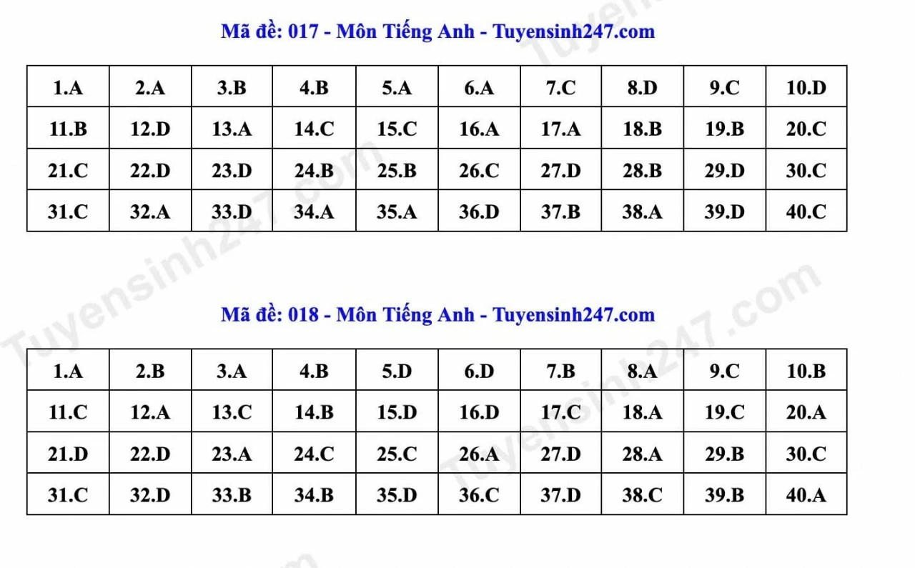 Thi lớp 10 Hà Nội: Gợi ý đáp án môn tiếng Anh