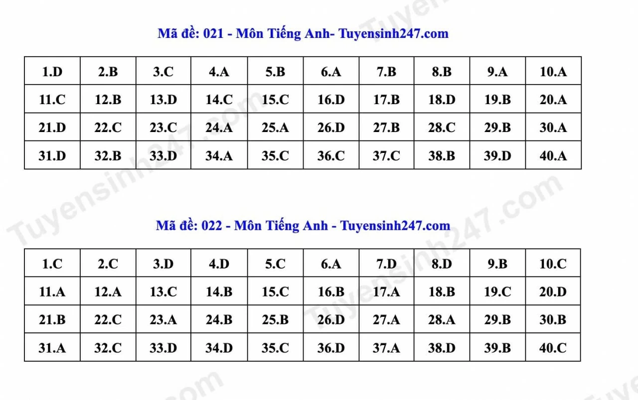 Thi lớp 10 Hà Nội: Gợi ý đáp án môn tiếng Anh