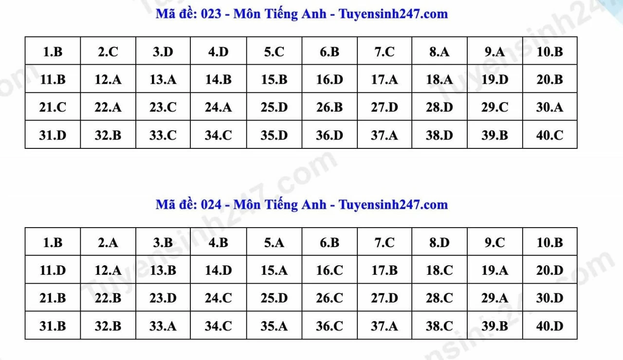 Thi lớp 10 Hà Nội: Gợi ý đáp án môn tiếng Anh