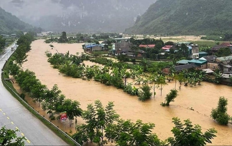 Le ministère de l'Agriculture et de l'Environnement a exhorté les provinces et les villes à réagir de manière proactive face aux fortes pluies, aux tornades, à la foudre, à la grêle, aux inondations, aux crues soudaines et aux glissements de terrain. Photo : NNMNT. Bộ Nông nghiệp và Môi trường đề nghị các tỉnh thành chủ động ứng phó với mưa lớn, lốc, sét, mưa đá, ngập lụt, lũ quét, sạt lở đất. Ảnh: NNMNT.