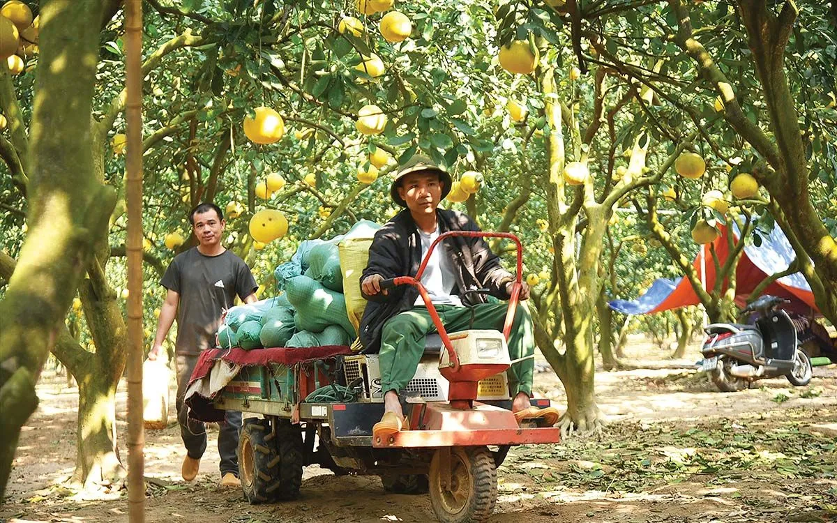 Đưa khởi nghiệp trở thành cơ hội mở cho mỗi người
- Ảnh 1.