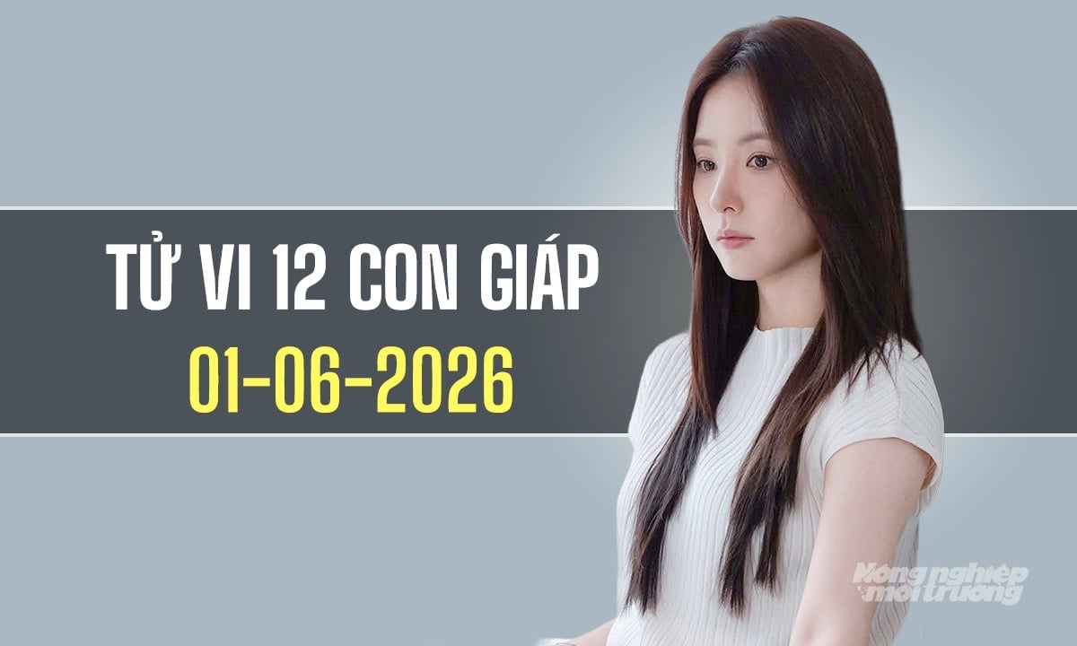 Xem tử vi hàng ngày 12 con giáp hôm nay 1/6/2026