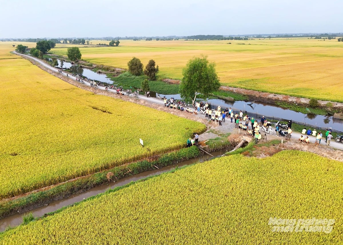 Can Tho ha descentralizado la administración de tierras a nivel de comuna y distrito, lo que contribuye a una mayor eficiencia en la gestión y a un mejor servicio para la población local. Foto: Le Hoang Vu. Cần Thơ phân cấp thẩm quyền đất đai cho cấp xã, phường góp phần nâng cao hiệu quả quản lý và phục vụ người dân ngay từ cơ sở. Ảnh: Lê Hoàng Vũ.