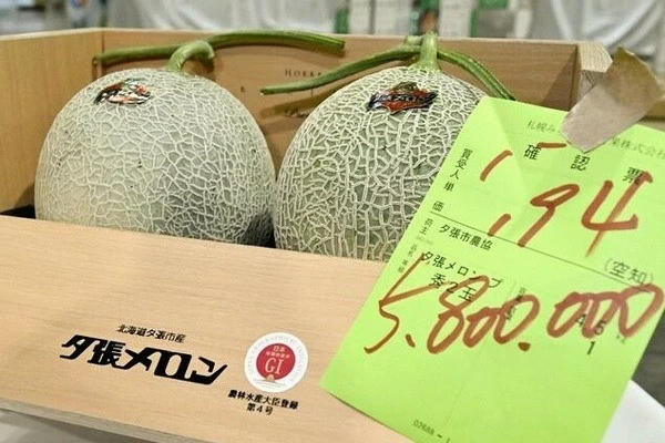 Nhật Bản: Cặp dưa lưới lập kỷ lục bán đấu giá