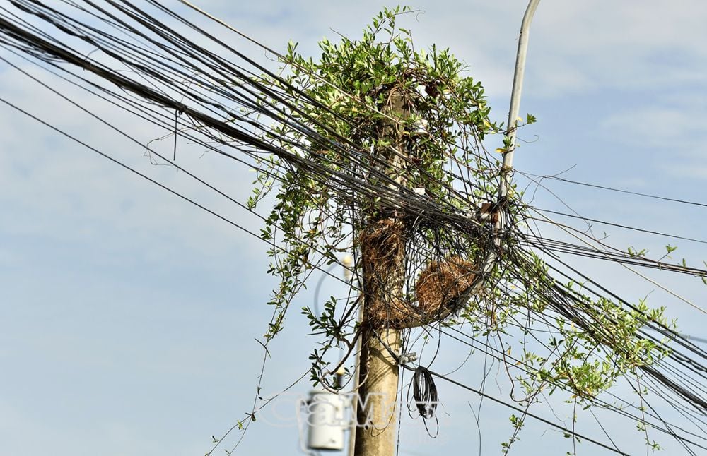Die Seilbahnanlage am „Strommast an der Baumseite“ stellt ein Sicherheitsrisiko dar. (Foto aufgenommen in der Huynh Thuc Khang Straße, Bezirk 7).
