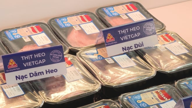 TP. Hồ Chí Minh xây dựng chuỗi thực phẩm an toàn - Ảnh 6.