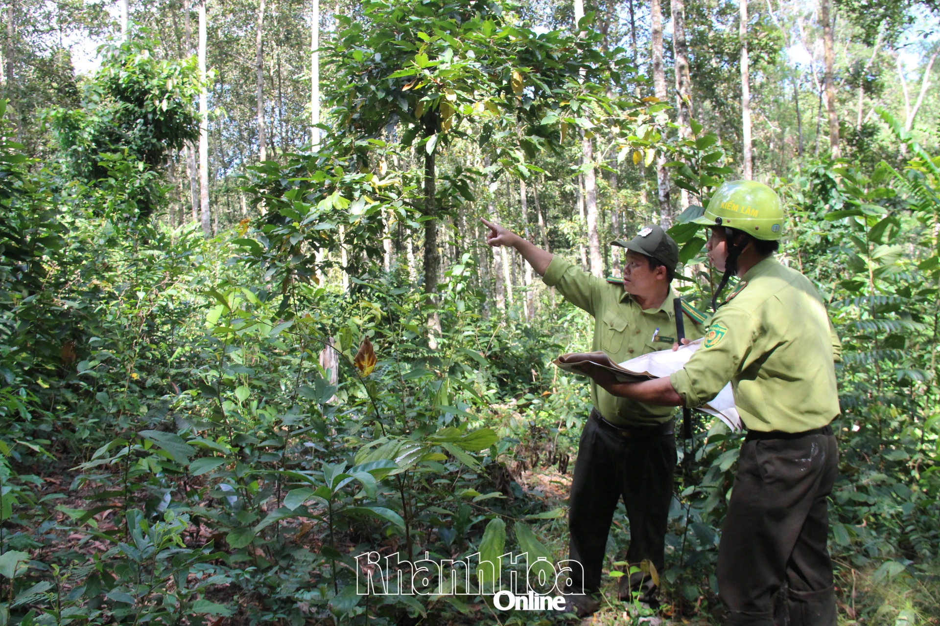 Einsatzkräfte der Forststation Hon Ba inspizieren den Wald im Gebiet Da Giang.