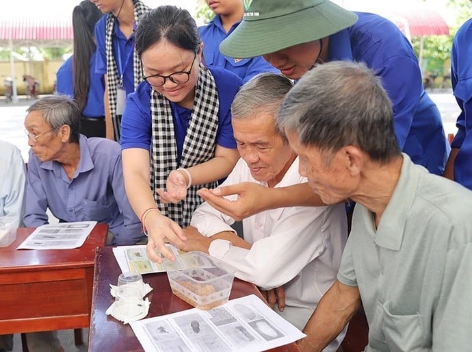 Các tình nguyện viên đến từ Đại học Trà Vinh hướng dẫn người dân nhận biết, sử dụng thiên địch để khống chế sâu đầu đen. Ảnh: Minh Đảm.
