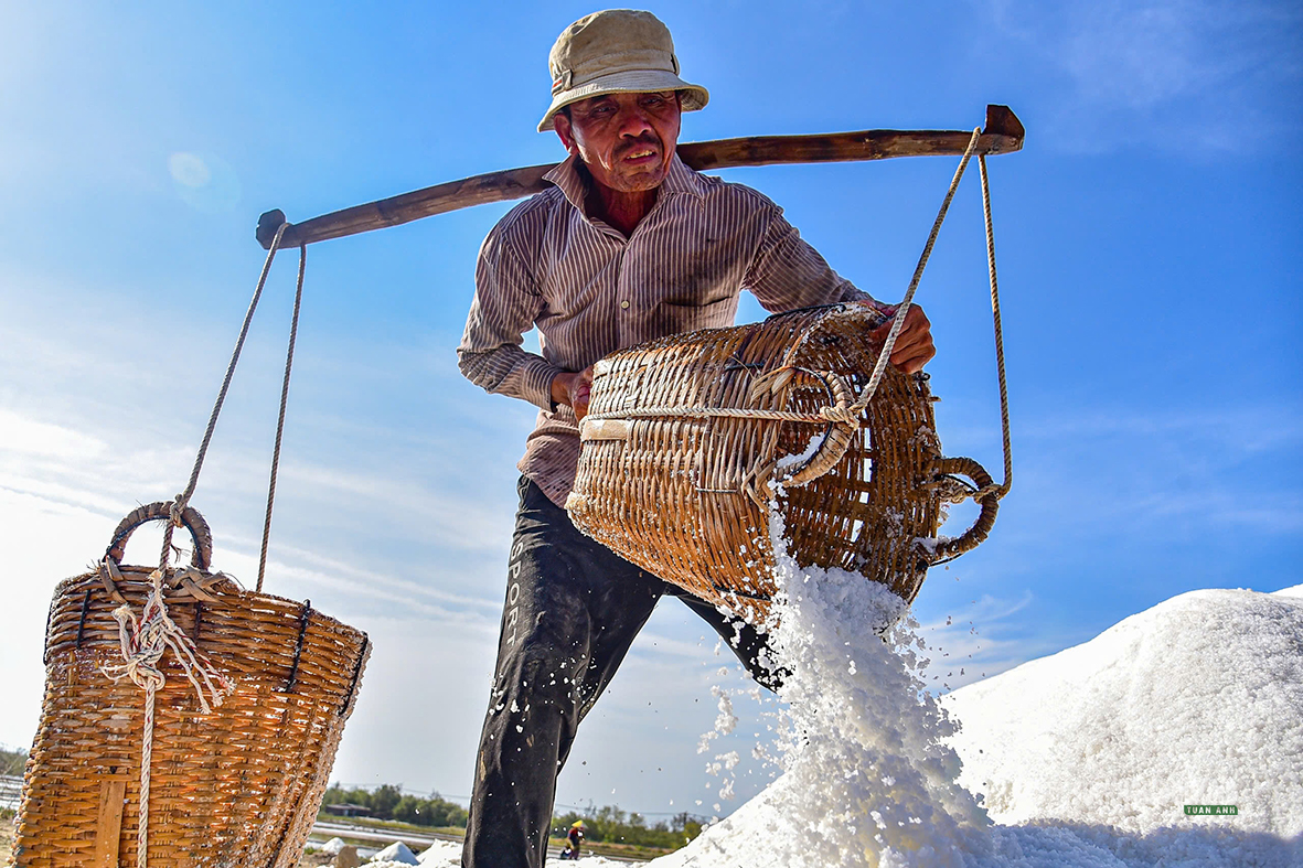 The beauty of the Can Gio salt fields - Photo 1. Nét đẹp trên cánh đồng muối Cần Giờ- Ảnh 1.