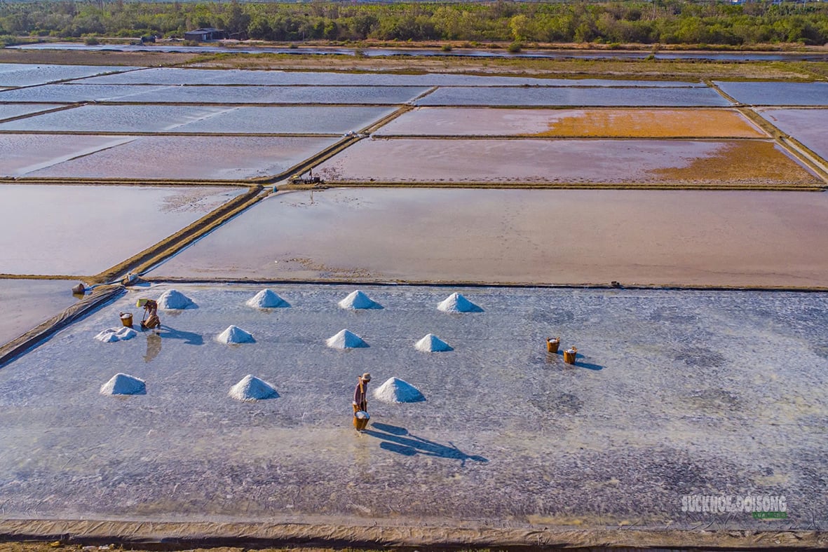 The beauty of the Can Gio salt fields - Photo 2. Nét đẹp trên cánh đồng muối Cần Giờ- Ảnh 2.