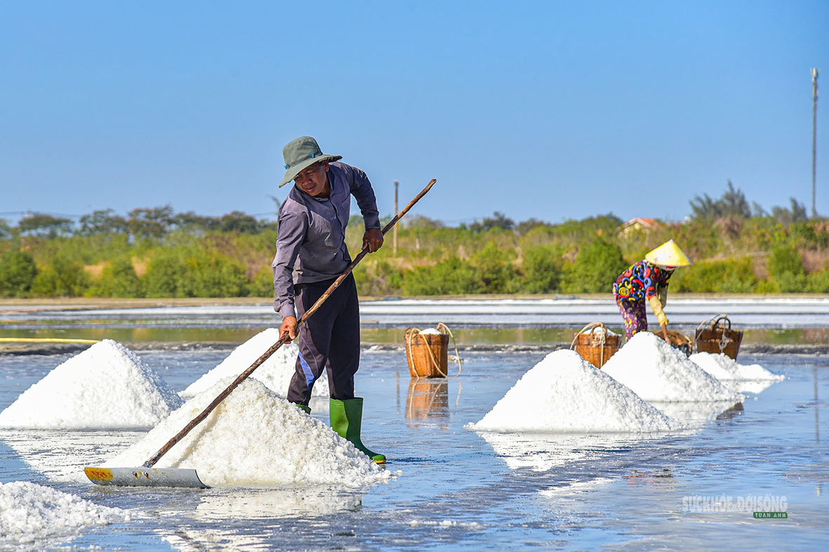 The beauty of the Can Gio salt fields - Photo 3. Nét đẹp trên cánh đồng muối Cần Giờ- Ảnh 3.