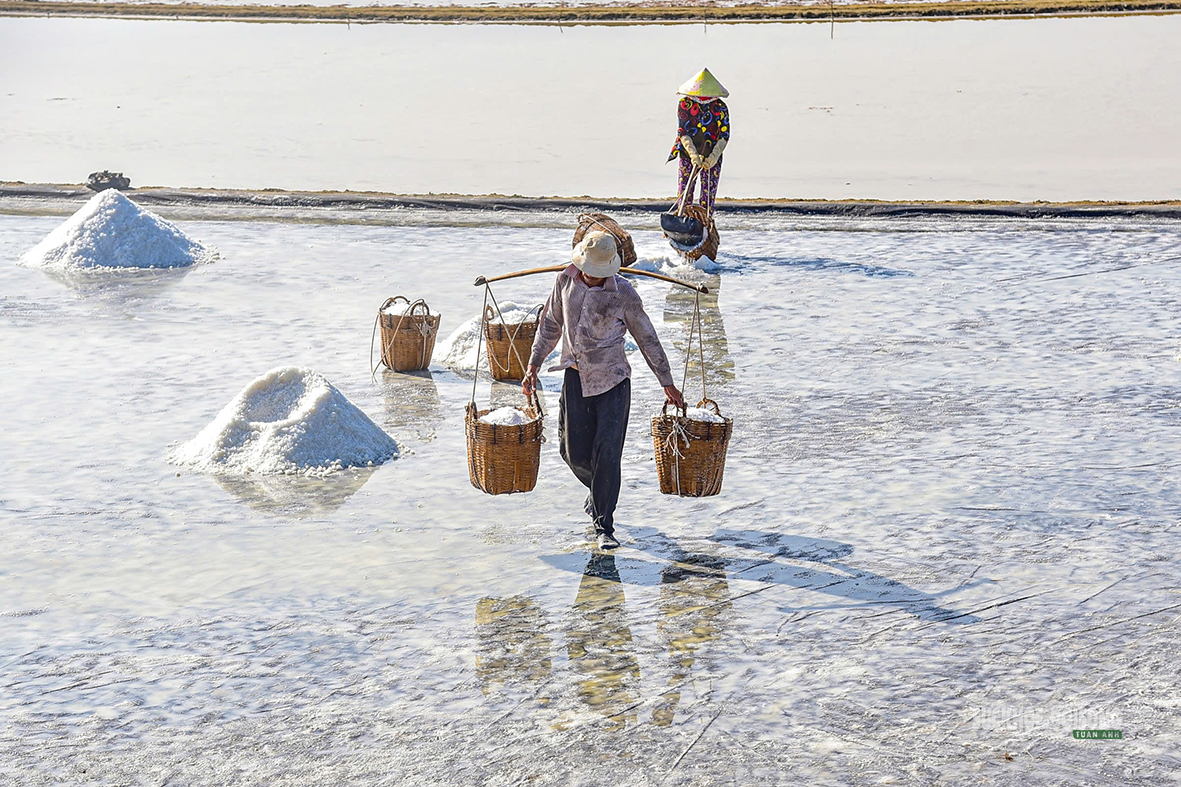 The beauty of the Can Gio salt fields - Photo 4. Nét đẹp trên cánh đồng muối Cần Giờ- Ảnh 4.