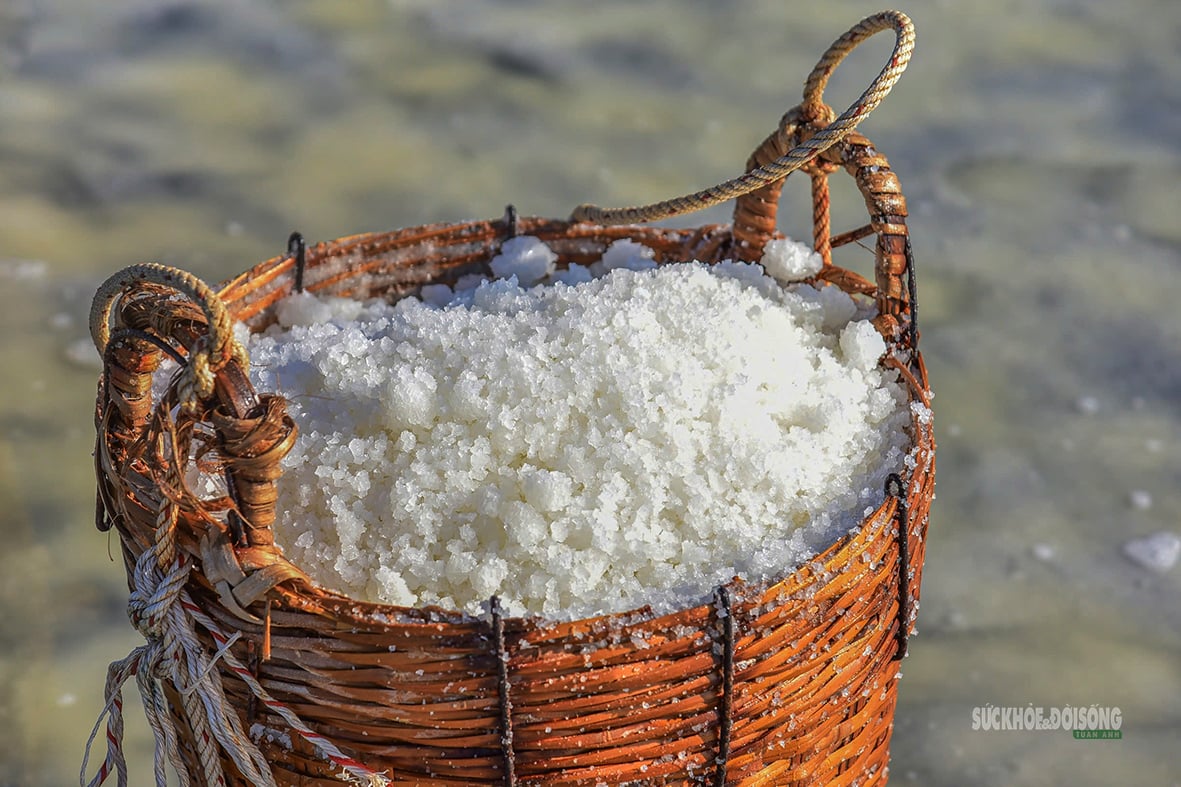 The beauty of the Can Gio salt fields - Photo 6. Nét đẹp trên cánh đồng muối Cần Giờ- Ảnh 6.
