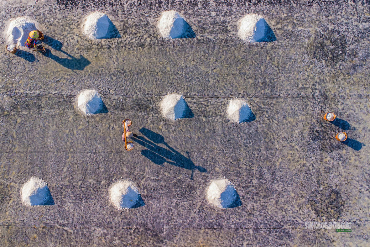 The beauty of the Can Gio salt fields - Photo 7. Nét đẹp trên cánh đồng muối Cần Giờ- Ảnh 7.