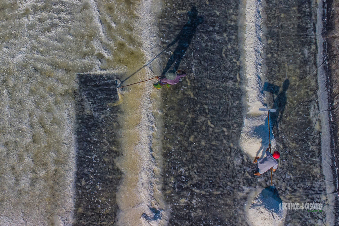 The beauty of the Can Gio salt fields - Photo 8. Nét đẹp trên cánh đồng muối Cần Giờ- Ảnh 8.