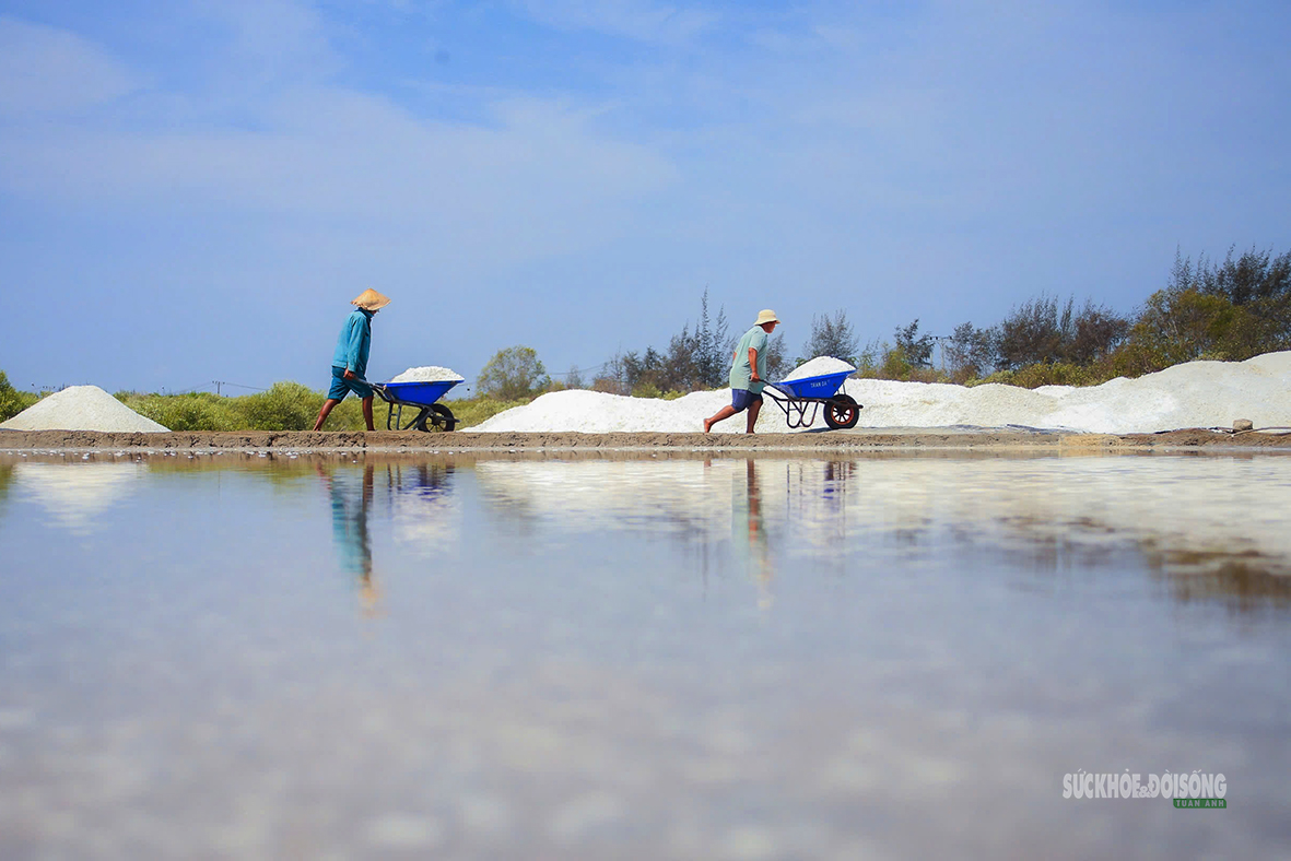 The beauty of the Can Gio salt fields - Photo 10. Nét đẹp trên cánh đồng muối Cần Giờ- Ảnh 10.
