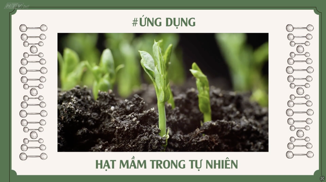 Góc nhỏ kỳ diệu - Góc xanh của em- Ảnh 9.