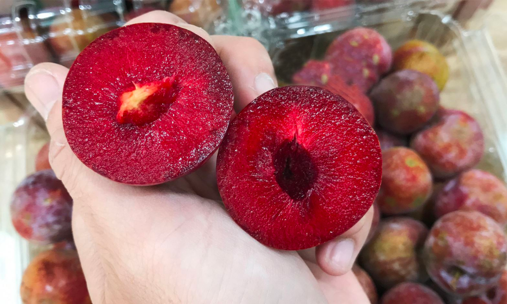 Apa saja manfaat kesehatan dari mengonsumsi buah plum? - Gambar 1. Ăn mận có tác dụng gì với sức khỏe?- Ảnh 1.