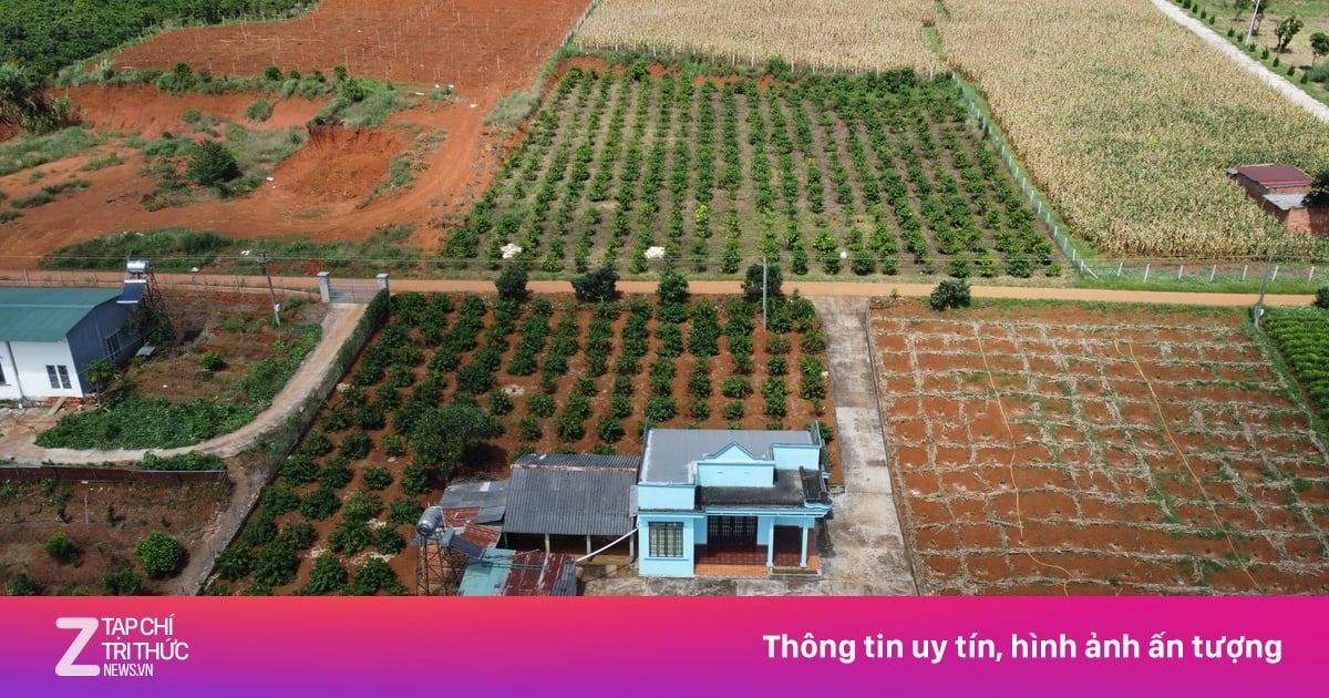 Vietnam Government Mandates Notarization for Land Use Right Transfers in Amended Land Law