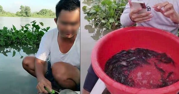 Het vrijlaten van dieren via livestream draagt ??bij aan de illegale handel in wilde dieren.