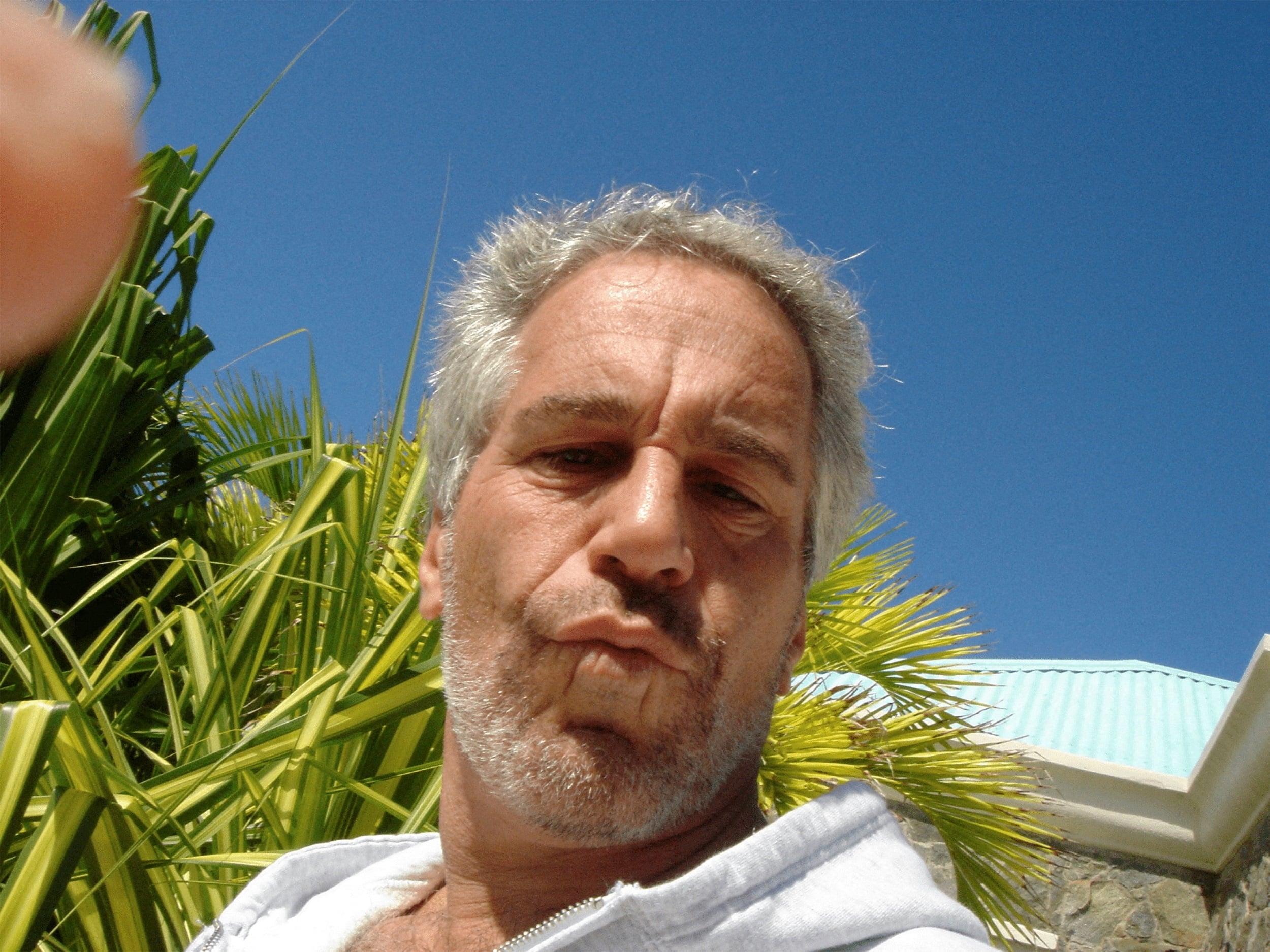 عکس ۲ از اپستین Epstein anh 2
