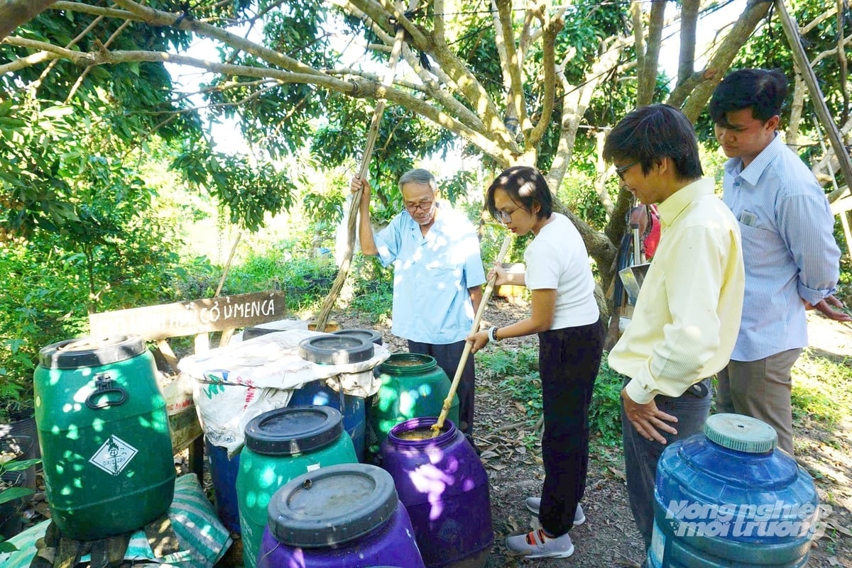 Model pengkomposan baja organik dan penyediaan mikrob daripada bahan mentah tempatan membantu menjana semula mikroorganisma yang bermanfaat dan meningkatkan kesihatan tanah pertanian. Foto: Le Hoang Vu. Mô hình ủ phân hữu cơ, chế phẩm vi sinh từ nguồn nguyên liệu bản địa giúp tái tạo hệ vi sinh vật có lợi, nâng cao sức khỏe đất nông nghiệp. Ảnh: Lê Hoàng Vũ.