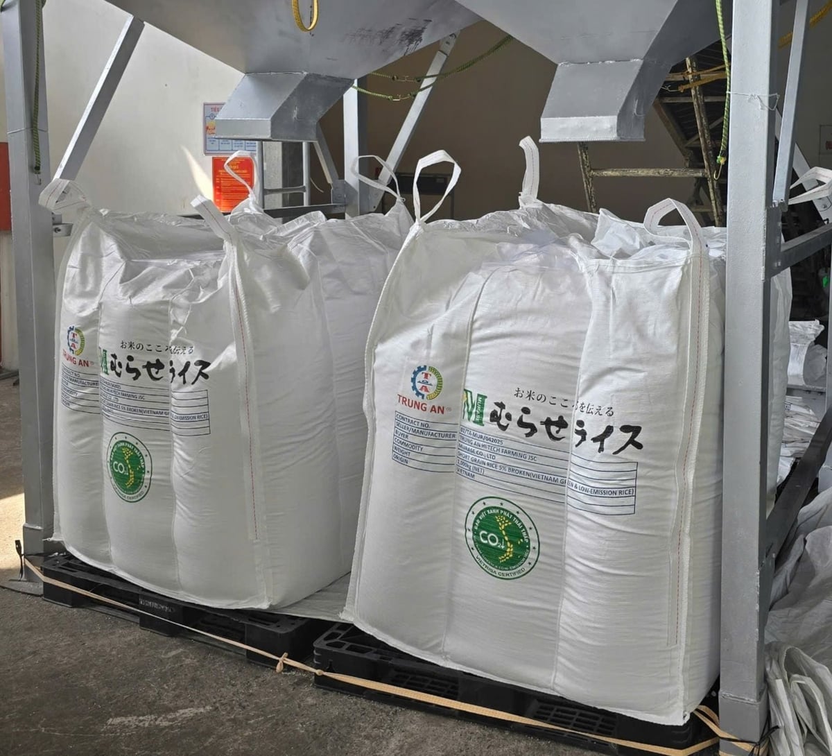 Sản phẩm gạo Japonica mang nhãn hiệu 'Gạo Việt xanh phát thải thấp' được xuất khẩu sang Nhật Bản. Ảnh: ĐVCC.