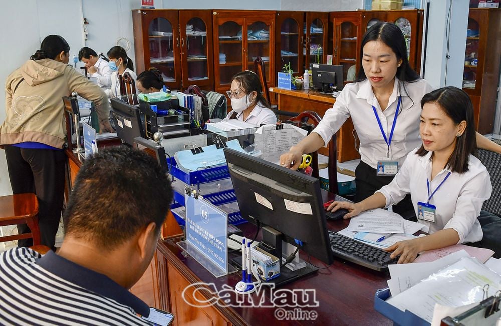 The district's One-Stop Service Center is staffed with 8 civil servants and officials from various sectors, ensuring they are assigned to positions corresponding to their field and expertise.