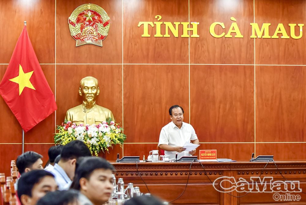Phó chủ tịch UBND tỉnh Nguyễn Minh Luân tham gia phát biểu tại buổi họp.