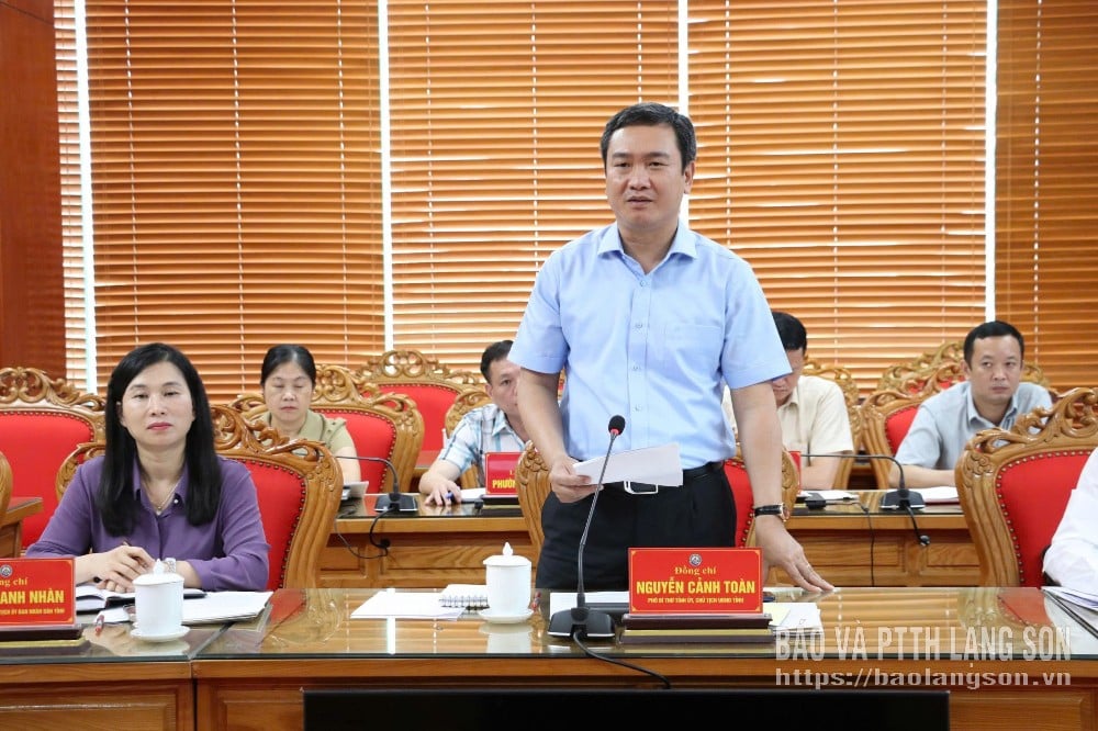 Đồng chí Nguyễn Cảnh Toàn, Phó Bí thư Tỉnh uỷ, Chủ tịch UBND tỉnh phát biểu tại buổi làm việc