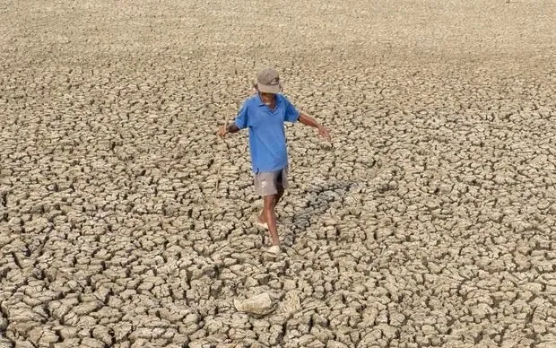 अल नीनो आमतौर पर मध्य अमेरिका, उत्तरी दक्षिण अमेरिका, कैरिबियन, ऑस्ट्रेलिया, इंडोनेशिया और दक्षिण एशिया के कुछ हिस्सों में अधिक सूखा लाता है। (छवि: शटरस्टॉक) El Nino thường gây khô hạn hơn tại Trung Mỹ, phía Bắc của Nam Mỹ, khu vực Caribe, Australia, Indonesia và một phần Nam Á. (Ảnh: Shutterstock)