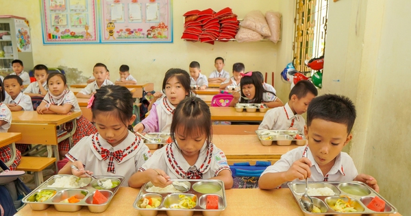 WHO Guidelines for Improving School Nutrition in Vietnam
