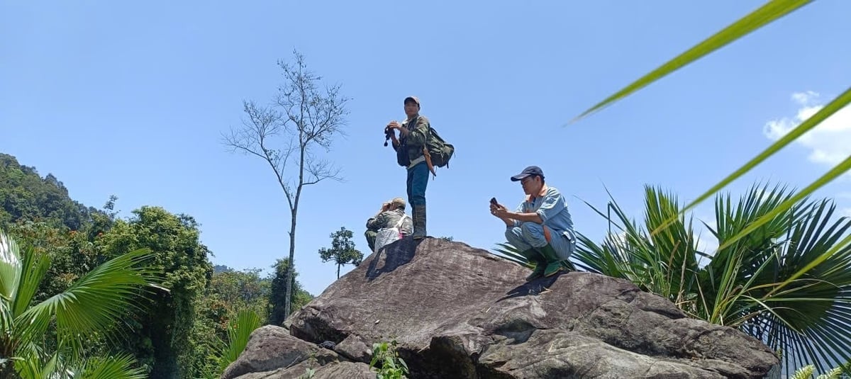 Các thợ ong soi, nhòm, phán đoán vị trí tổ ong. Ảnh: NVCC. 