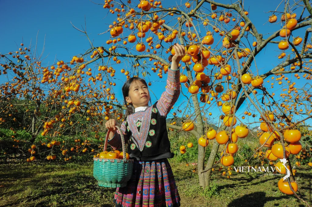 2026_THUMP_PHOTO_1049_76e70f804e7c496cb312984a16ded57a_mua-qua-chin.webp