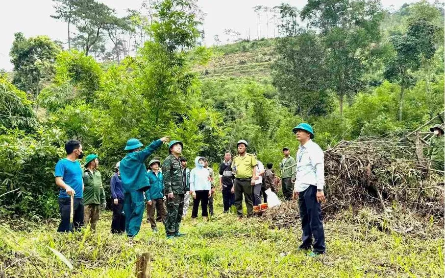 Cưỡng chế, khôi phục hơn 7,3ha đất lâm nghiệp bị lấn chiếm ở Lâm Đồng.