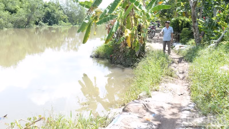 Sạt lở bờ kênh Trà Tân, xã Long Tiên, tỉnh Đồng Tháp cần xử lý để đáp ứng nhu cầu đi lại của nhân dân. 