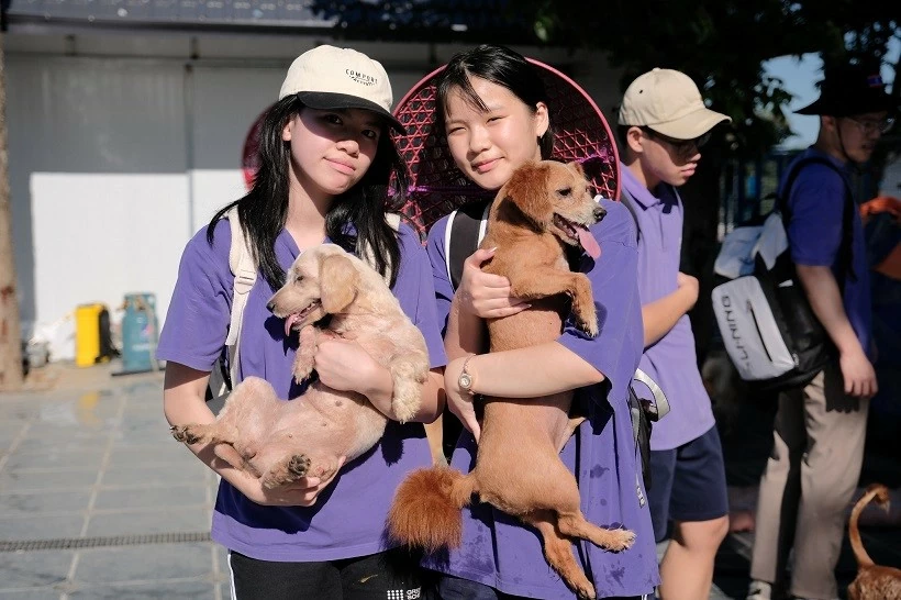 Khi thế giới thay đổi cách yêu thương động vật